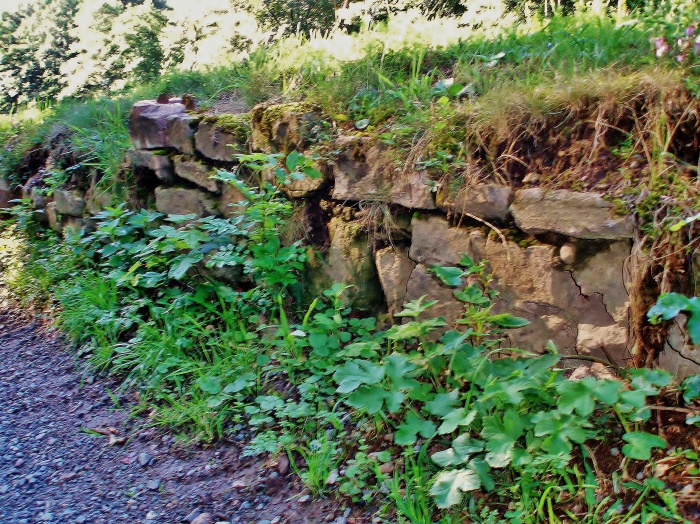 Reste der Klostermauer "Himmelpforte"
© Frank Wiesner