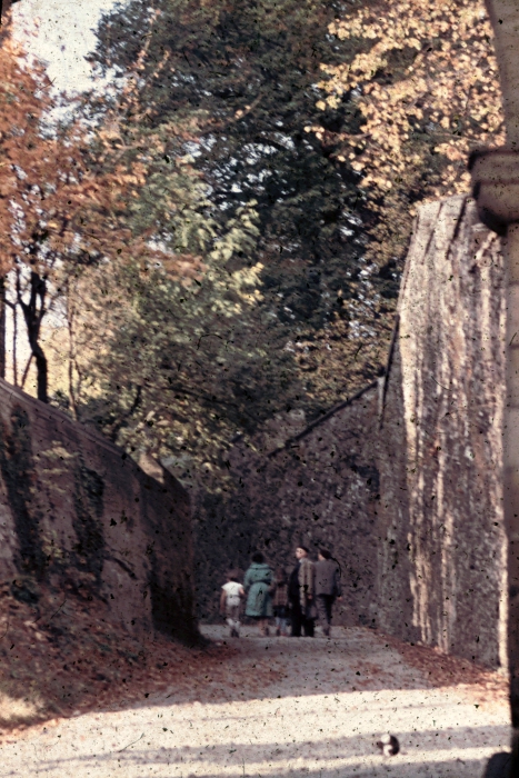 Schlossaufgang
© Fotothek Harzbücherei