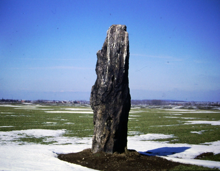 Menhir in der Gemarkung von Benzingerode
© Wolfgang Grothe