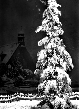 Der Weihnachtsbaum schmückt auch den Holfelder Platz.
- Dieter Oemler