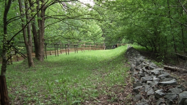 Bergbaulehrpfad im Thumkuhlental
© Wolfgang Grothe