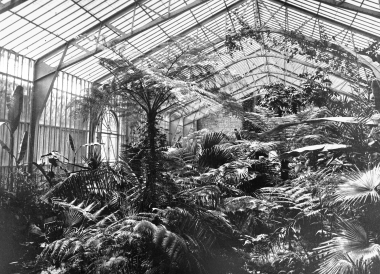 Palmenhaus im Lustgarten
- Dieter Oemler